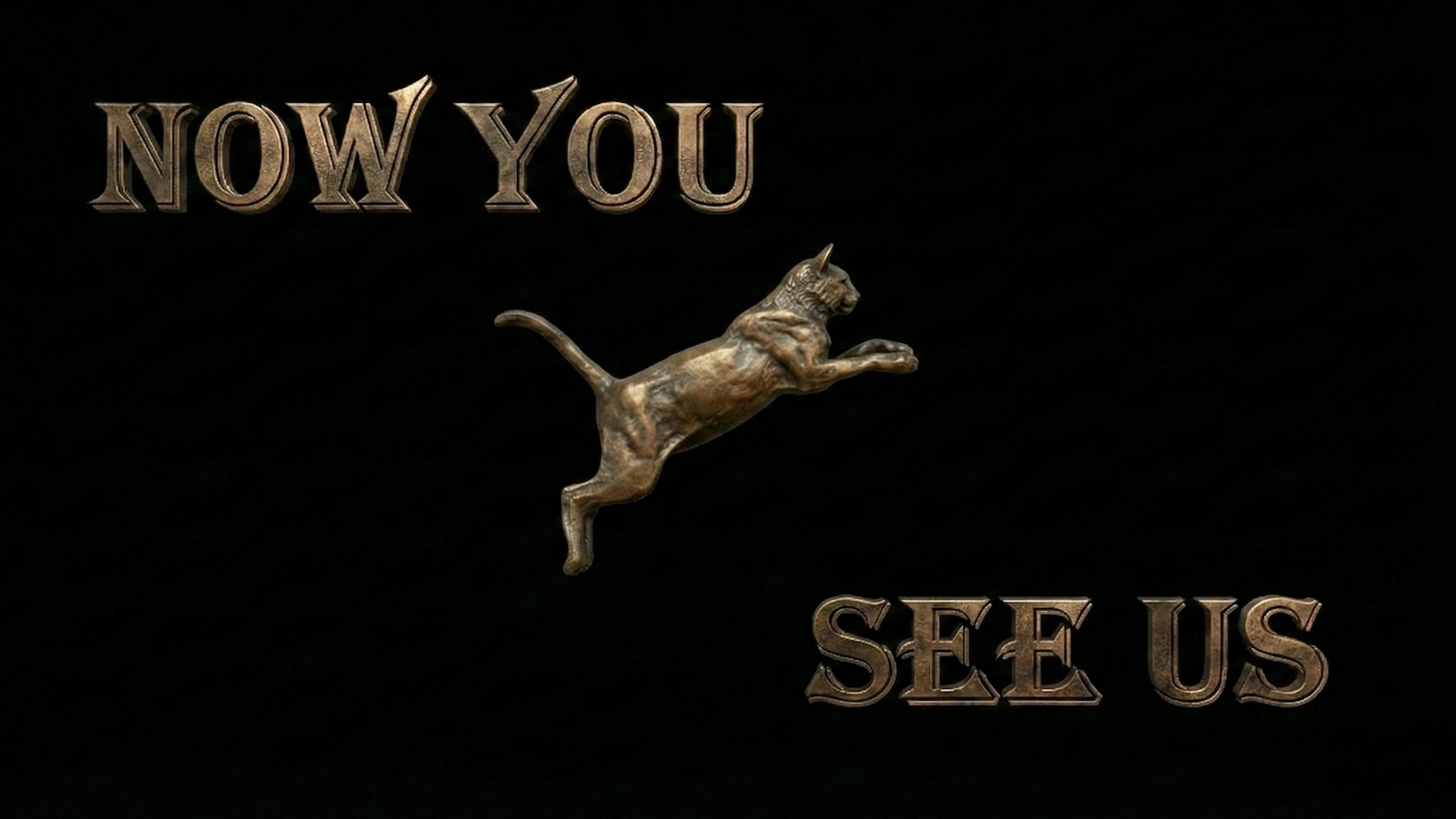 Now You See Us